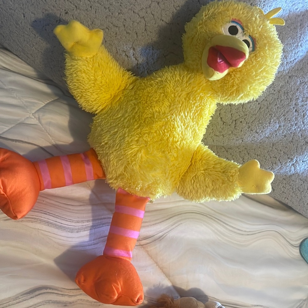 Sesame Street big bird